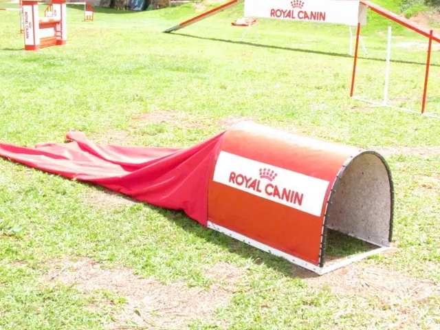 Túnel fechado publicitário em formato de casinha